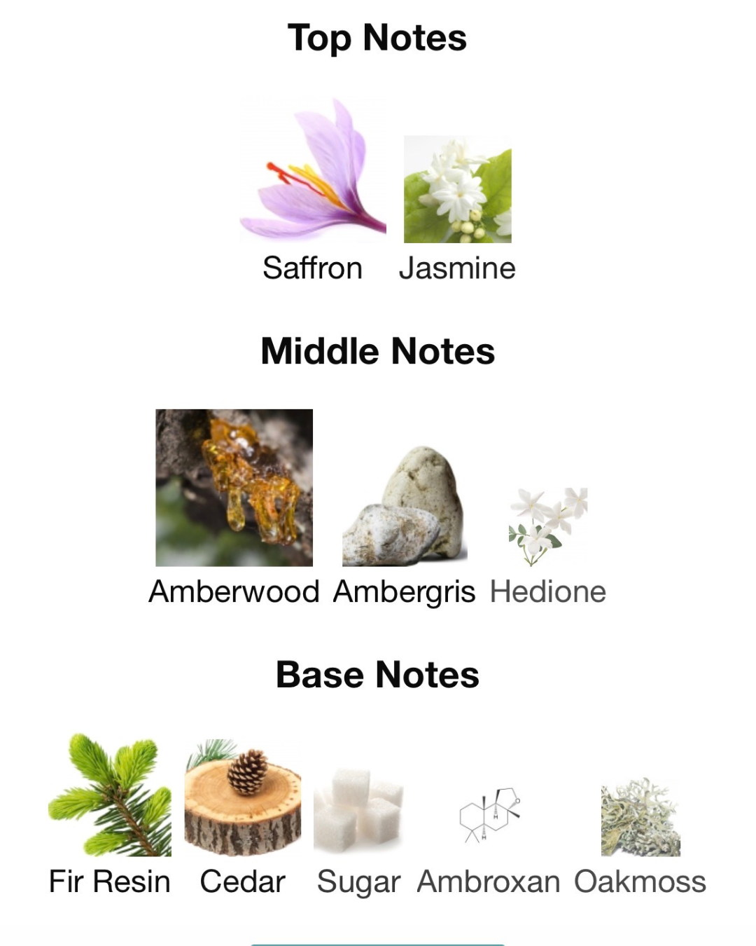 Roses from Ex- baccarat rouge 540.