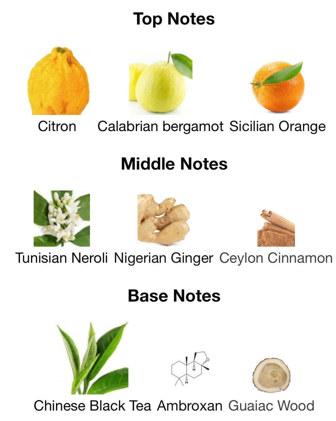 Daydream-LV imagination.