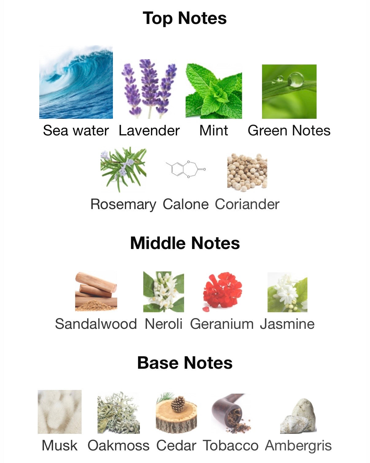 The Shower-davidoff cool water.