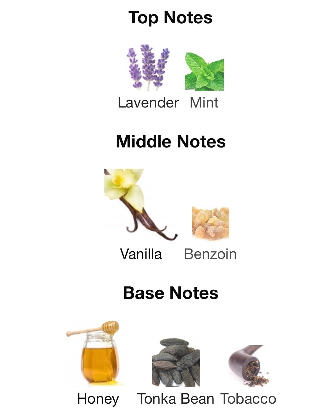 Honey Trap-JPG le male elixir.