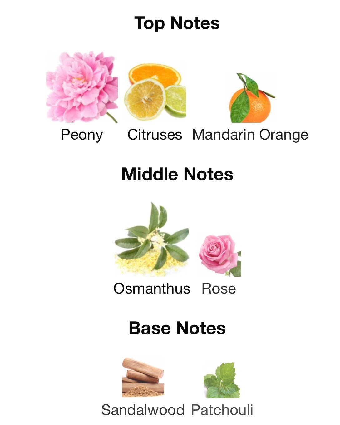 Garden Party- gucci flora.