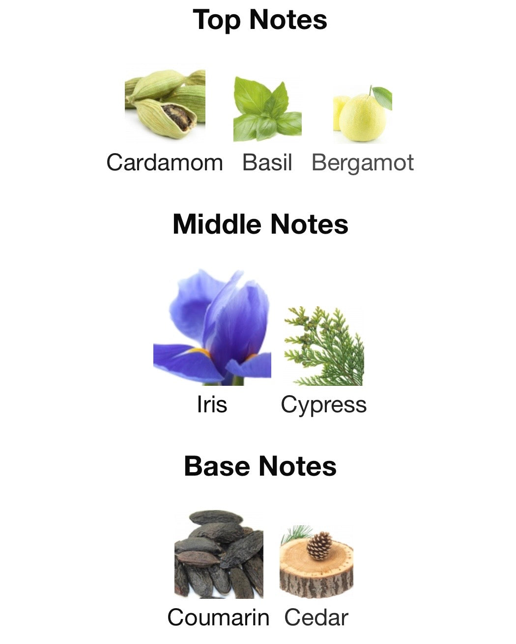 Nice Guy- givenchy gentleman.