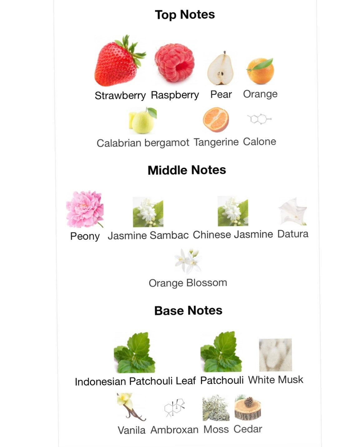 Not Paris-YSL mon paris.