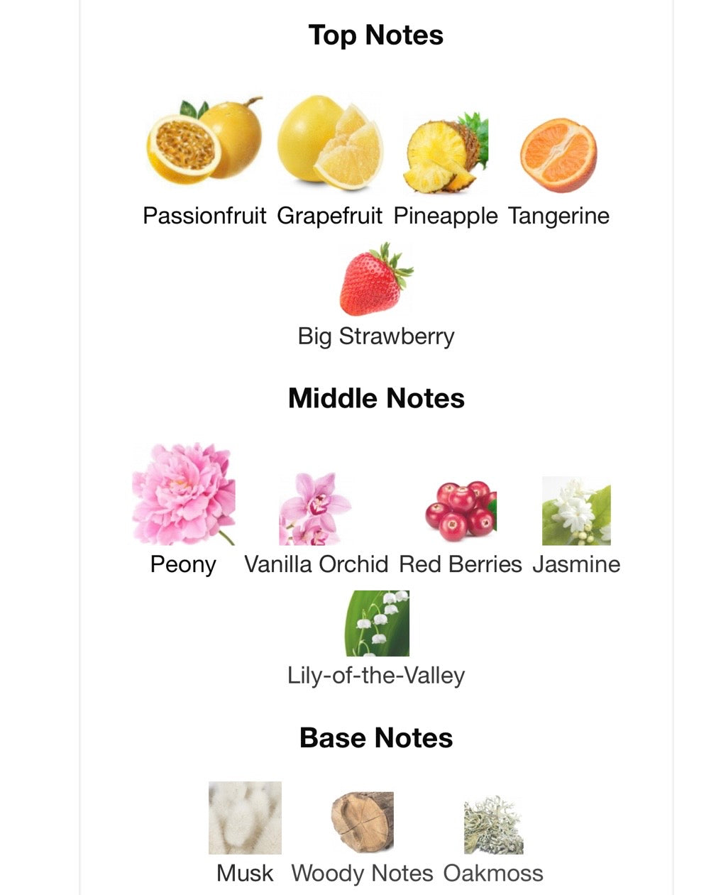 Basic B*tch- VS bombshell.